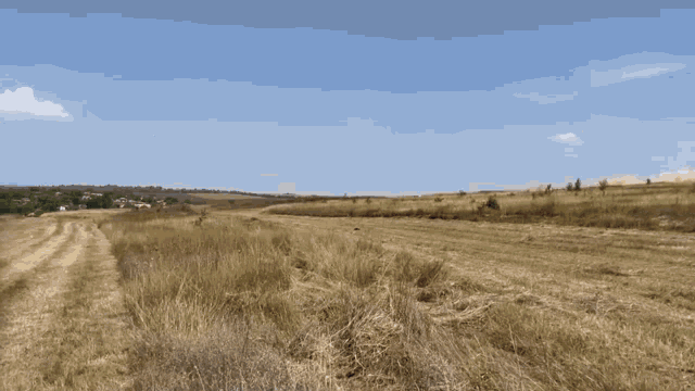 a car is driving through a dry grassy field