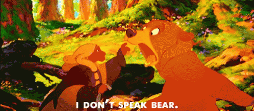 I Dont Speak Bear GIF - I Dont Speak Bear GIFs