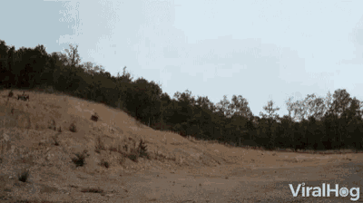 Tumble Down Down Hill GIF - Tumble Down Down Hill Car Accident GIFs