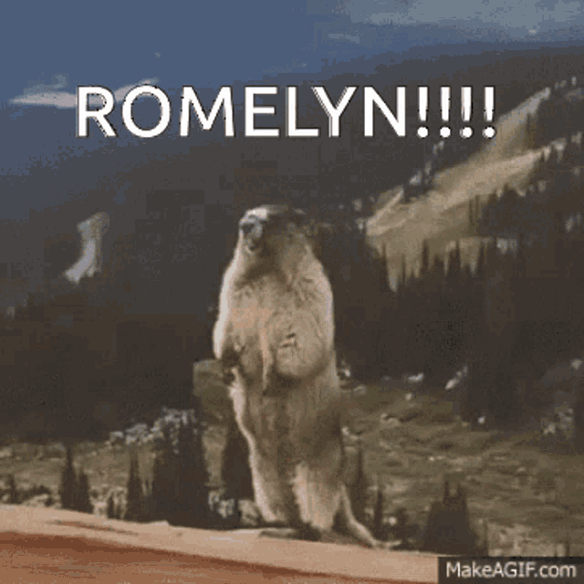 a ground squirrel standing on its hind legs with the words romelyn !!! above it