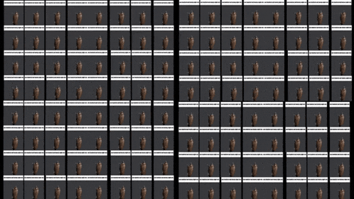 a black and white grid with a lot of birds