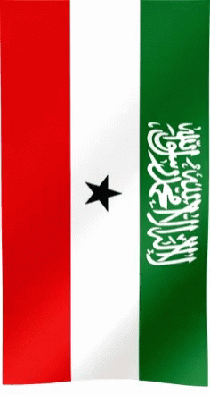 Flag Day Somaliland GIF - Flag Day Somaliland GIFs