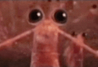 a close up of a person 's face with a blurry background