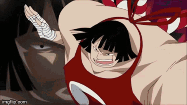 One Piece One Day GIF - One Piece One Day Seven Warlords GIFs