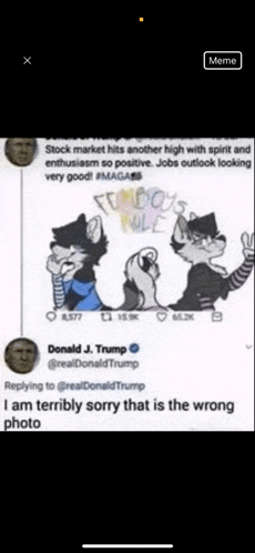 donald j. trump says that stock market hits another high with spirit and enthusiasm so positive jobs outlook looking very good .