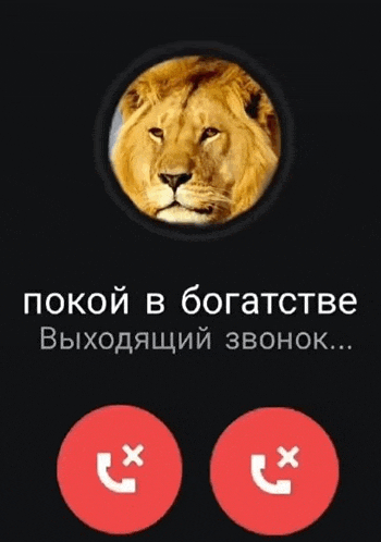 a phone screen with a picture of a lion and the words " покой в богатстве " below it