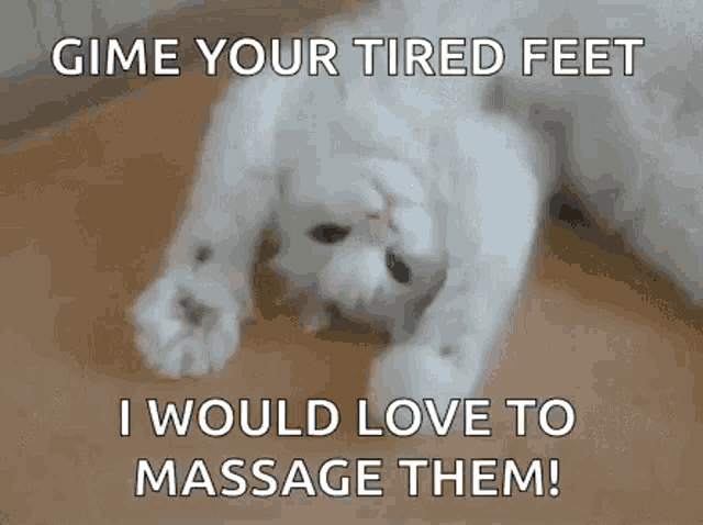 a white cat is laying on its back on the floor with a message .