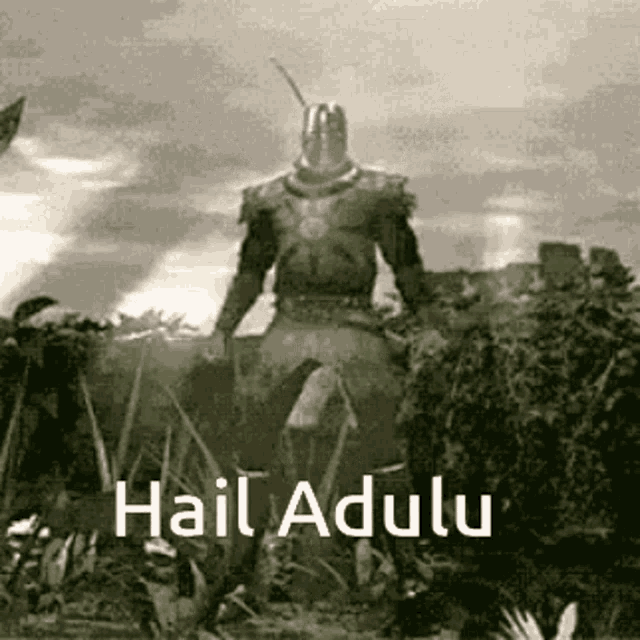 a black and white photo of a knight standing in a field with the words `` hail adulu '' .