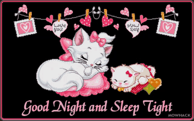 a good night and sleep tight card with two cats sleeping