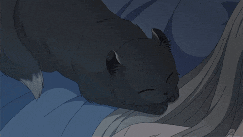 a black cat laying on a bed next to a woman
