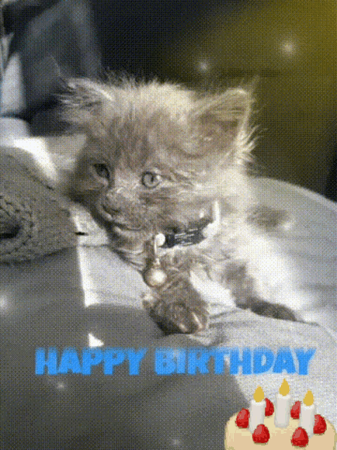 a birthday card with a kitten and a cake