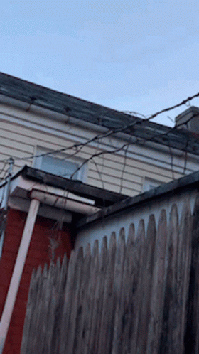 Roof Surprise GIF - Roof Surprise Im Here GIFs