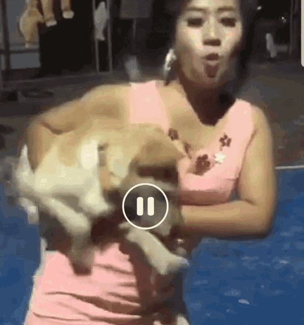 a woman in a pink dress is holding a dog in her arms and a circle with the number 11 on it