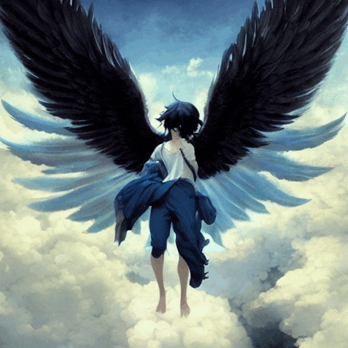 a person with black wings is standing on a cloud