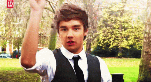 One Direction 1d GIF - One Direction 1d Liam Payne GIFs