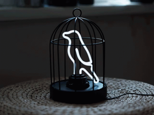 Bird Cage Lights Out GIF - Bird Cage Lights Out Neon GIFs