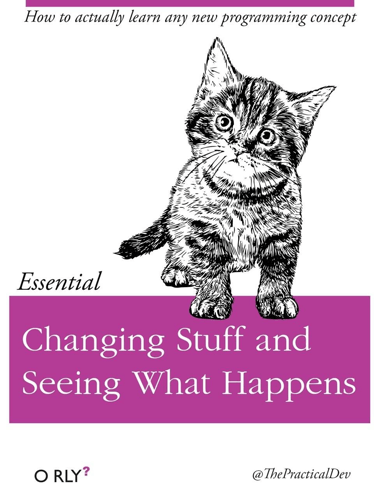 a book called essential changing stuff and seeing what happens has a cat on the cover
