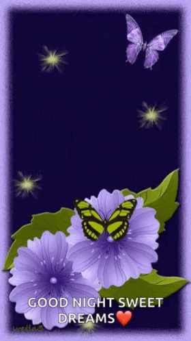 Purple Flower Butterflies GIF - Purple Flower Butterflies Purple GIFs
