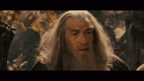 Lord Of The Rings Gandalf GIF - Lord Of The Rings Gandalf What Is Going On GIFs