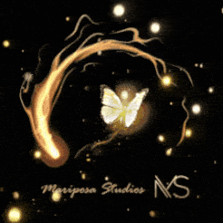 a logo for ns studios with a butterfly and fireworks