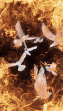 a group of white birds are flying in a circle of flames