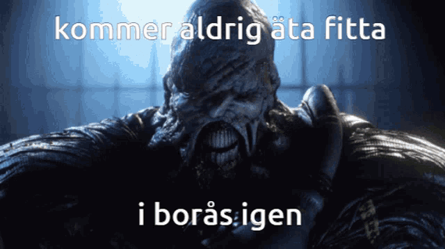 Borås Fitta GIF