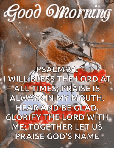 a bird is sitting on a branch with a good morning message