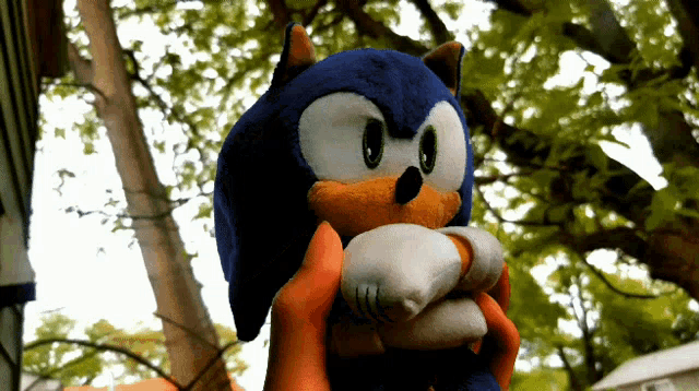 a person holding a stuffed sonic the hedgehog in their hands