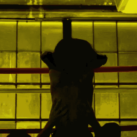 a person is standing in a boxing ring with a yellow background