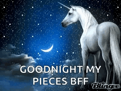 a picture of a unicorn with the words goodnight my pieces bff written below it