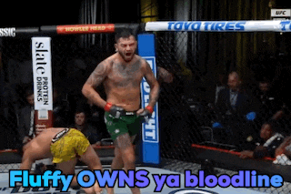 a man in a boxing ring with the words fluffy owns ya bloodline on the bottom