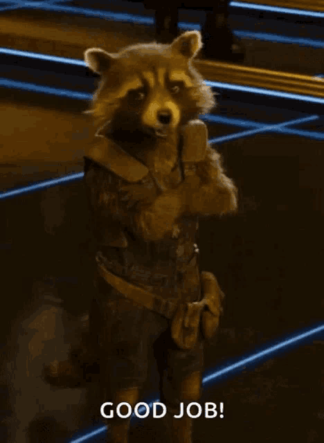 rocket raccoon from the movie guardians of the galaxy is standing with his arms crossed and says good job
