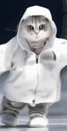 a cat wearing a white hoodie and socks is walking on the floor .