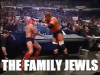Ric Flair The Family Jewels GIF - Ric Flair The Family Jewels Wwe GIFs