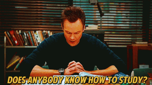 Does Anybody Know How To Study? GIF - Study GIFs