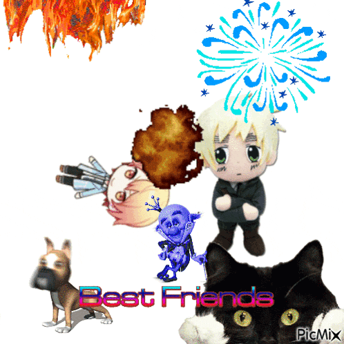 a picture of a cat a dog and a fireworks display with the words best friends on the bottom