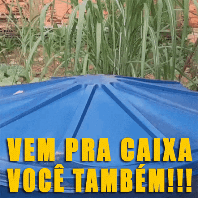 a blue container with yellow letters that say vem pra caixa voce também !!