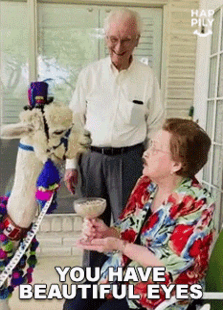 a man and a woman are sitting on a porch with an alpaca standing between them .