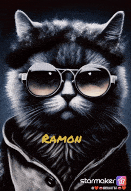 a cat wearing sunglasses and a coat has the name ramon written in yellow