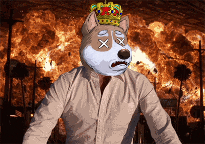 a dog with a crown on its head has a dead face