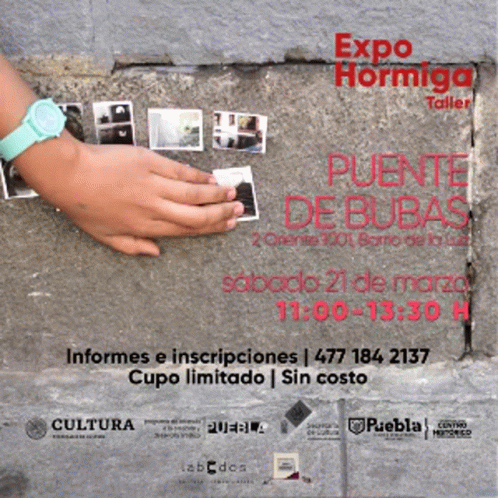 Expo Hormiga Art GIF - Expo Hormiga Art Exhibition GIFs