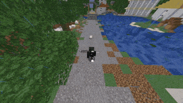 a black and white cat is walking down a path in a minecraft game