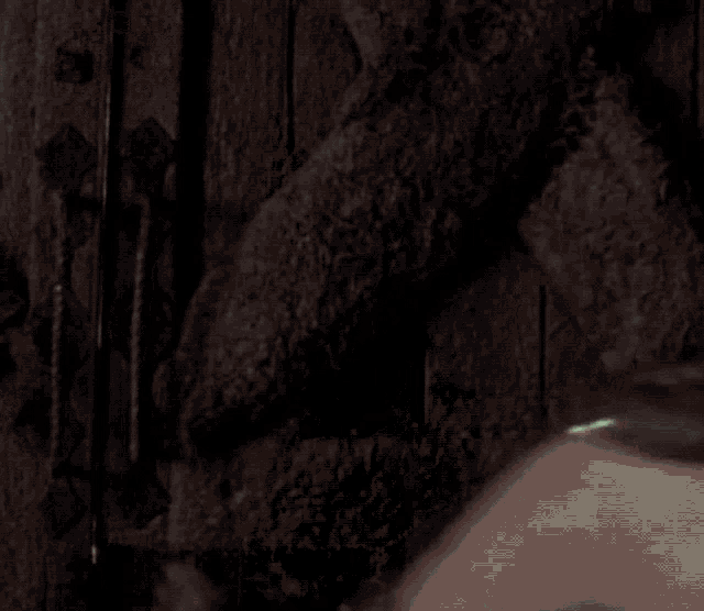 a blurred image of a woman 's face with a spider in the background