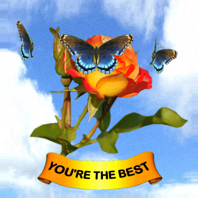 a butterfly is sitting on a flower with a yellow banner that says you 're the best