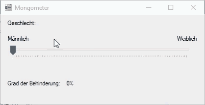 a computer screen shows a slider with the word mongometer on it