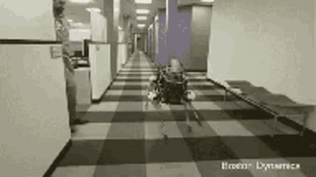 Boston Dynamics Robots GIF - Boston Dynamics Robots Elonmusk GIFs