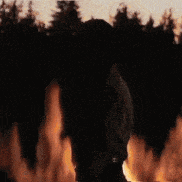 a man and woman kissing in front of a large fire