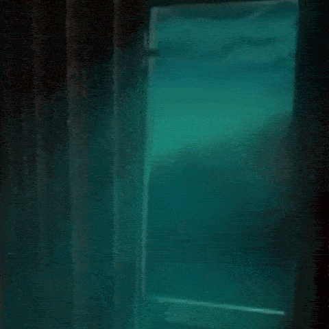 a person is standing in front of a window with a reflection of a person in it