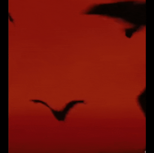 a shadow of a man with dreadlocks is walking in front of a red background .