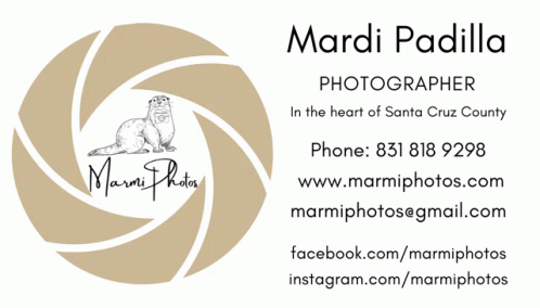 Mardi Mardip GIF - Mardi Mardip Marmi GIFs